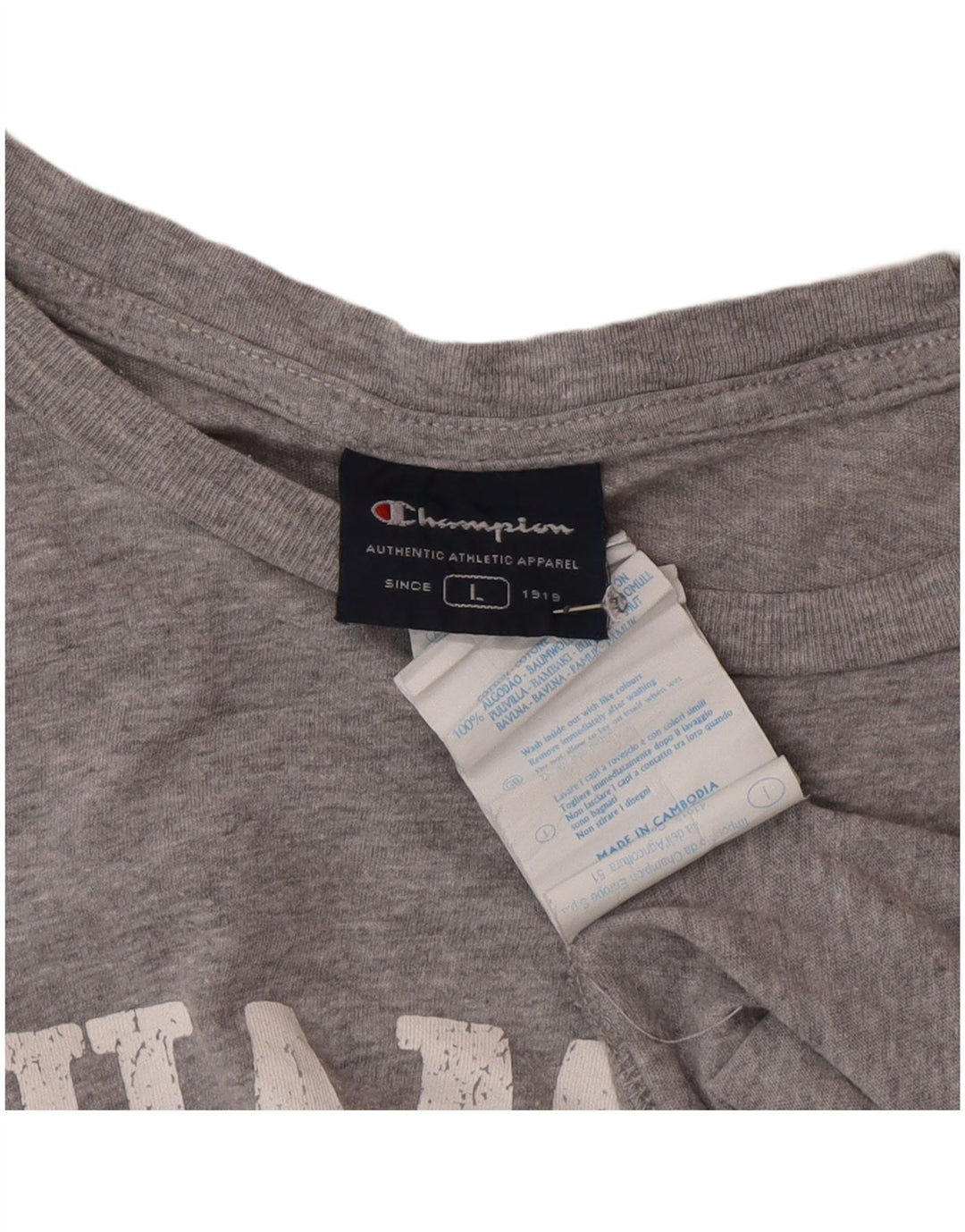Champion Herre Rochester Grafisk T-Shirt Top Stor Grå Bomuld