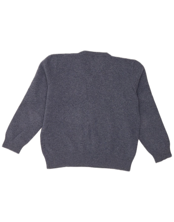 Polo Ralph Lauren Herre V-hals sweater XL Blå lammeuld