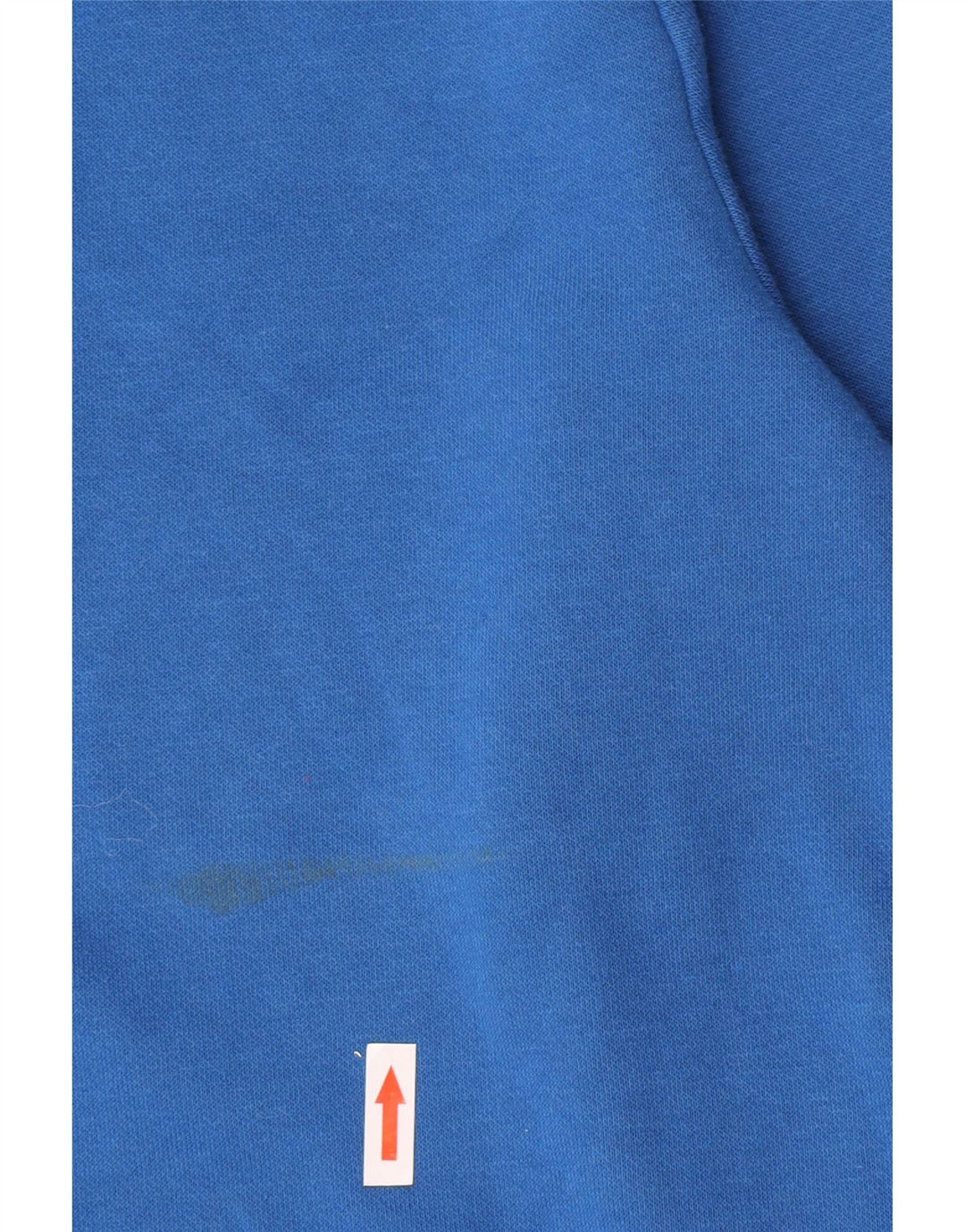 Champion Boys Grafisk Sweatshirt Jumper 13-14 år XL Blå Bomuld