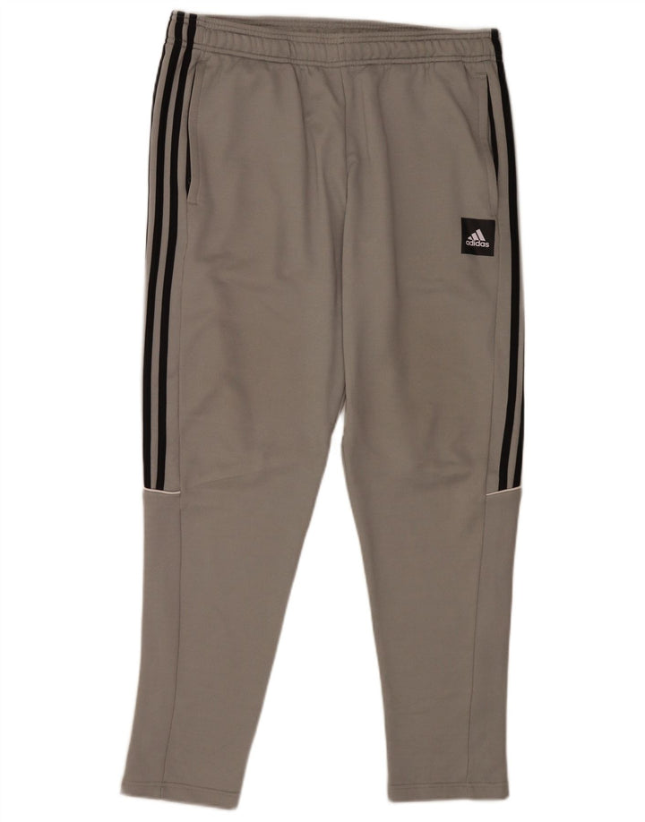 Adidas Træningsdragtsbukser til mænd Stor grå polyester