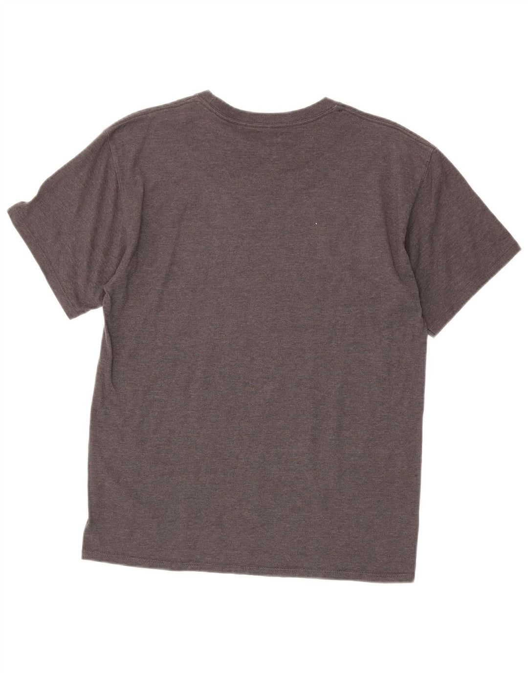 Champion Herre grafisk T-shirt top mellemgrå