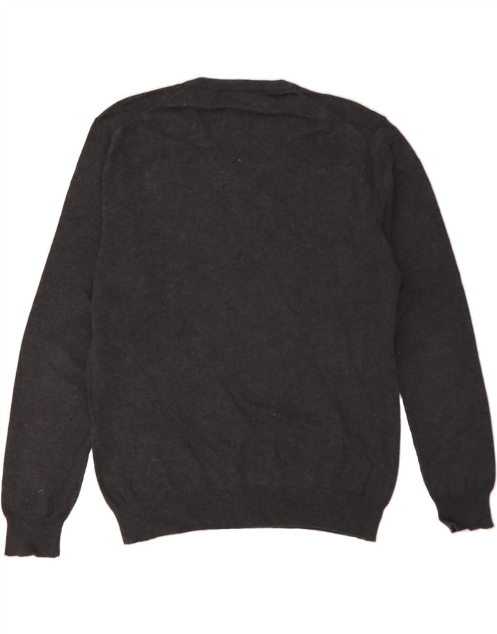 GANT Mens V-Neck Jumper Sweater Large Grey Flecked Cotton Vintage Gant and Second-Hand Gant from Messina Hembry 
