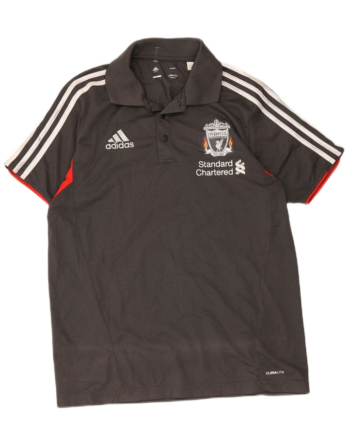 Adidas Herre Liverpool Grafisk Polo Shirt Lille Grå Colourblock Polyester
