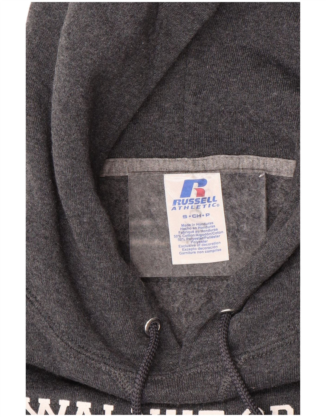 RUSSELL ATHLETIC Herre Wildcats Grafisk Hoodie Jumper Lille Grå Bomuld