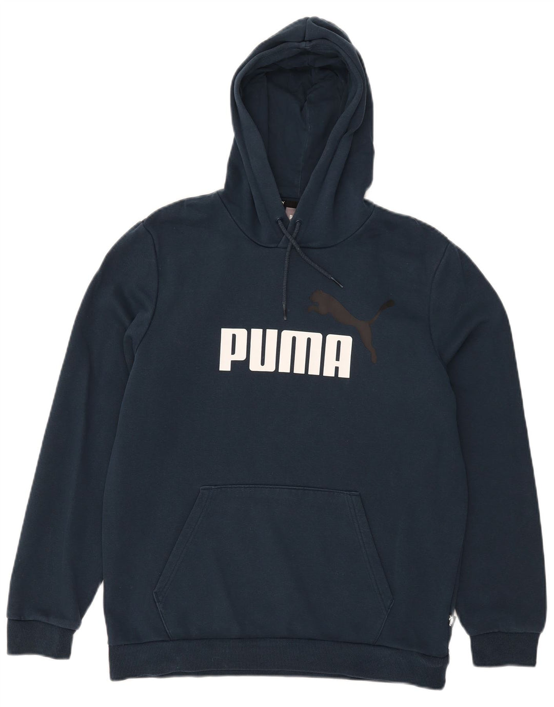 Puma Grafisk hættetrøje til mænd mellemblå