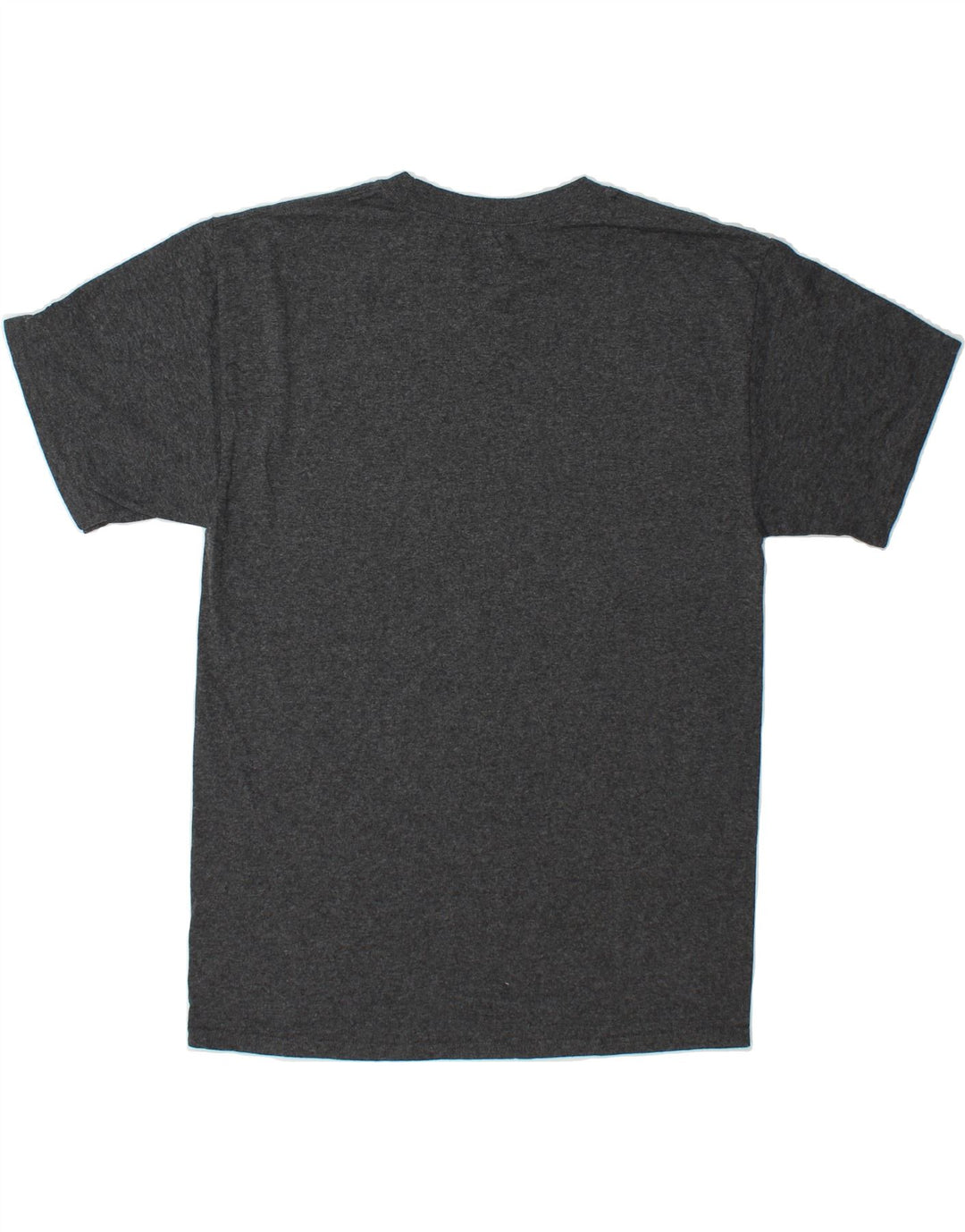 CHAMPION Mens Wisconsin Graphic T-Shirt Top Medium Grey Cotton Vintage Champion and Second-Hand Champion from Messina Hembry 