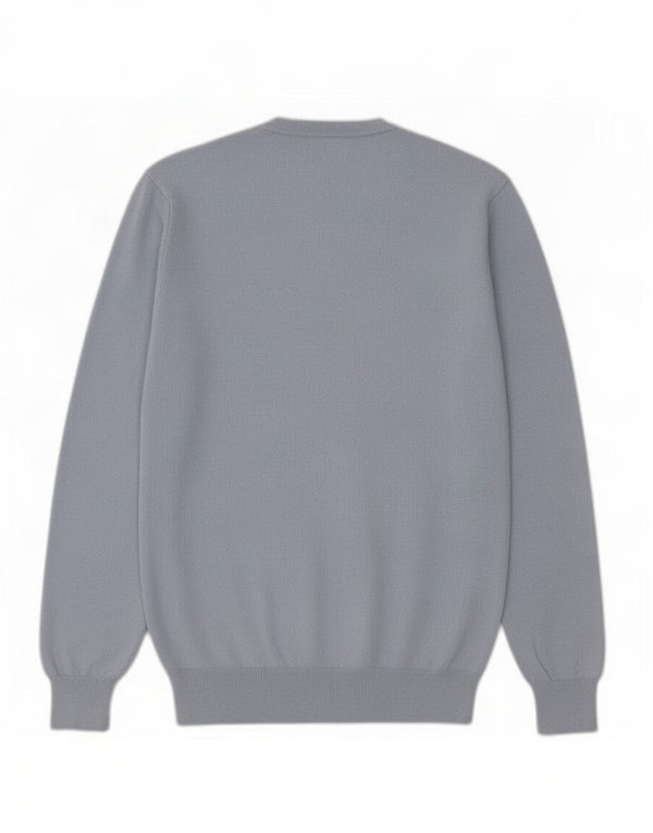 North Sails Herre V-hals sweater Medium Blå Bomuld