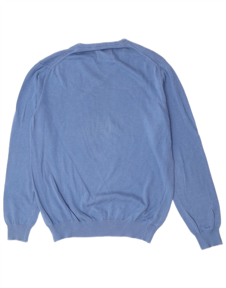 PEPE Jeans Herre V-hals sweater Medium Blå Bomuld