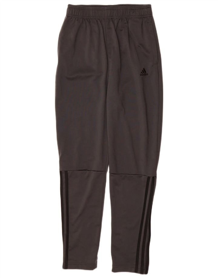 Adidas Drenge træningsbukser 13-14 år Grå polyester