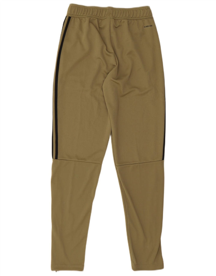 Adidas Træningsdragtsbukser til mænd Small Khaki Polyester