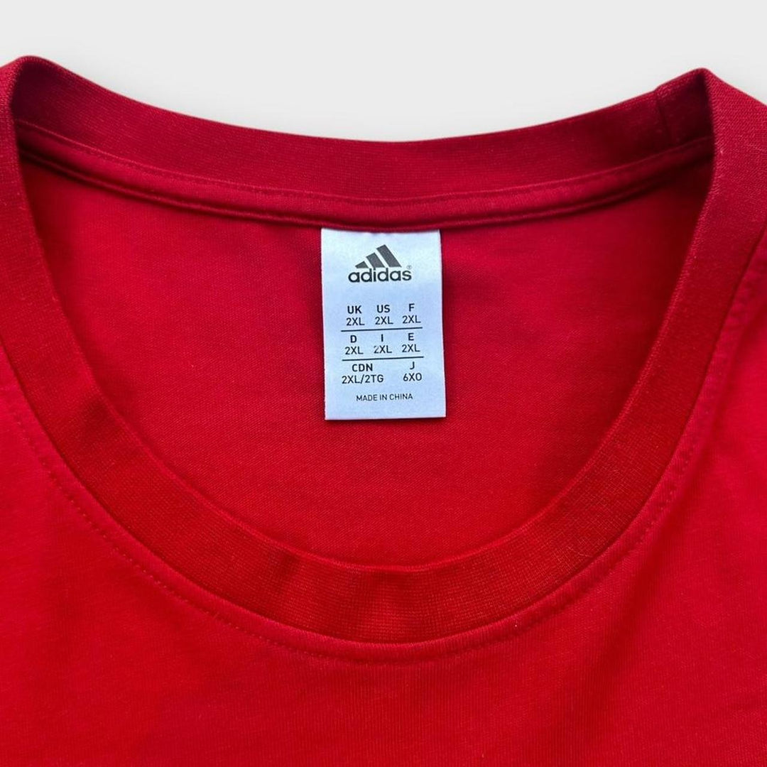 Lions rugby t-shirt - XXL