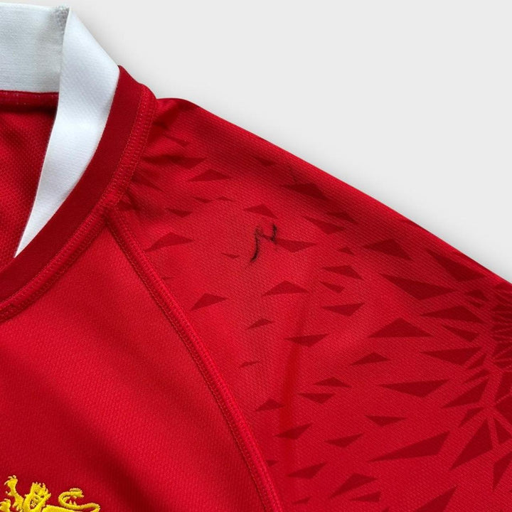 Lions rugby top - stor
