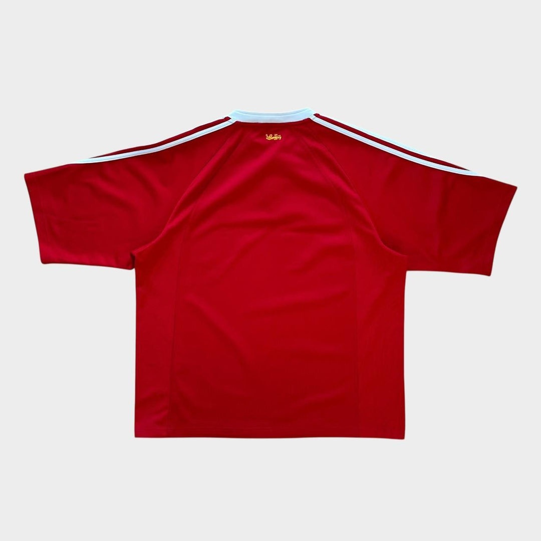 Vintage Lions rugby top - XL