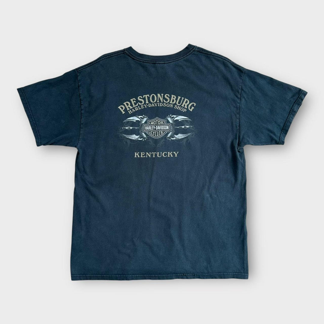 Harley Davidson grafisk t-shirt - stor