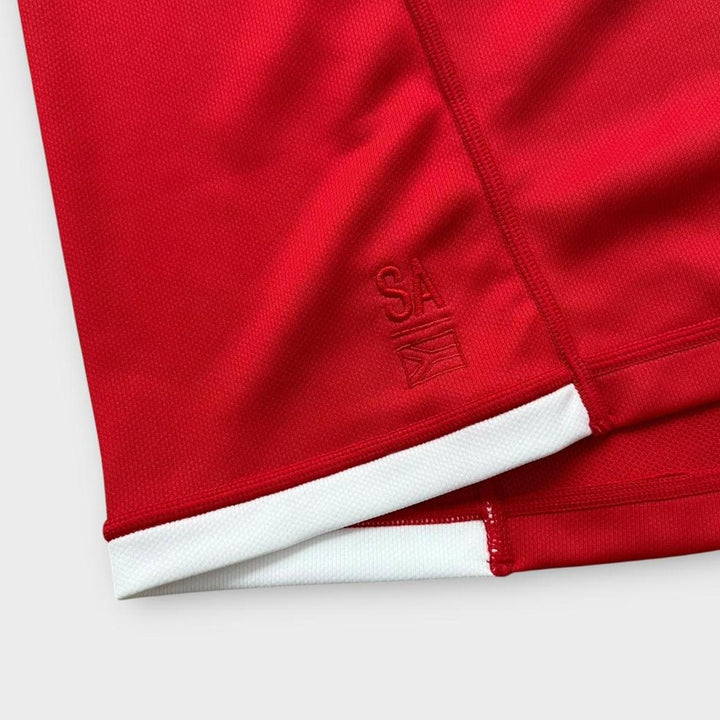 Lions rugby top - stor