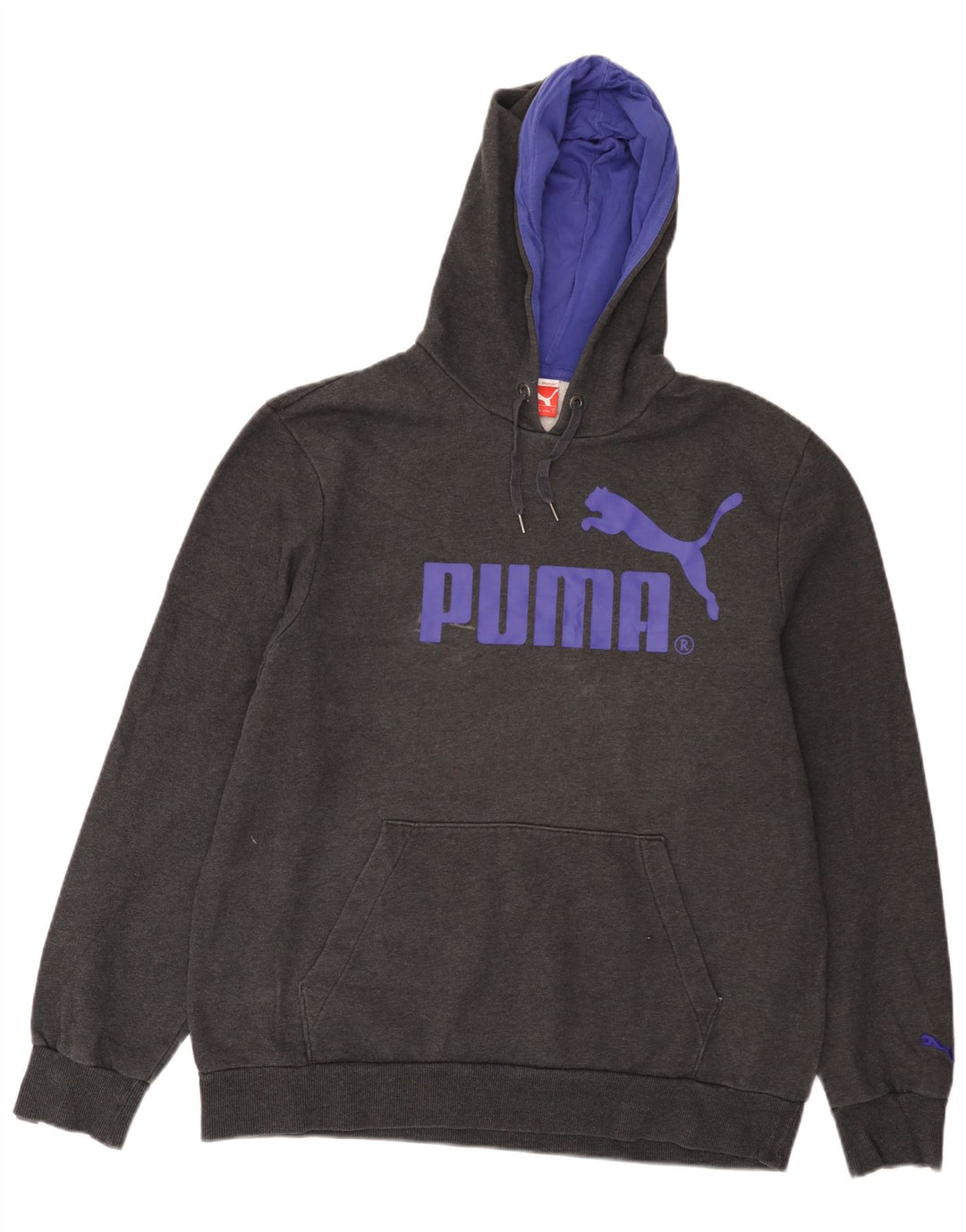 Puma Grafisk hættetrøje til mænd, stor grå