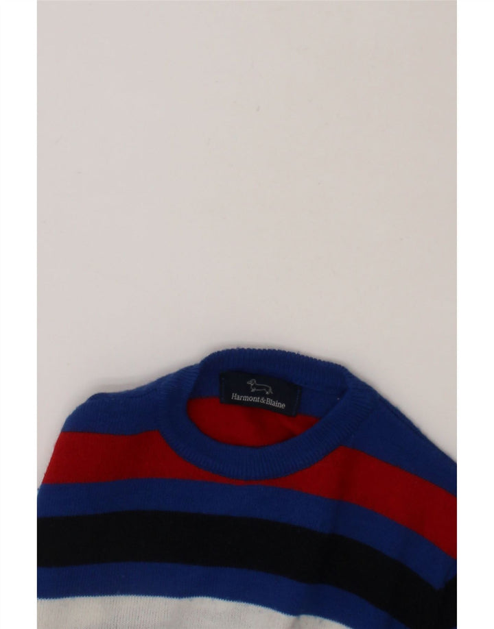 HARMONT & BLAINE Boys Crew Neck Jumper Sweater 5-6 Years Blue Striped Vintage Harmont & Blaine and Second-Hand Harmont & Blaine from Messina Hembry 