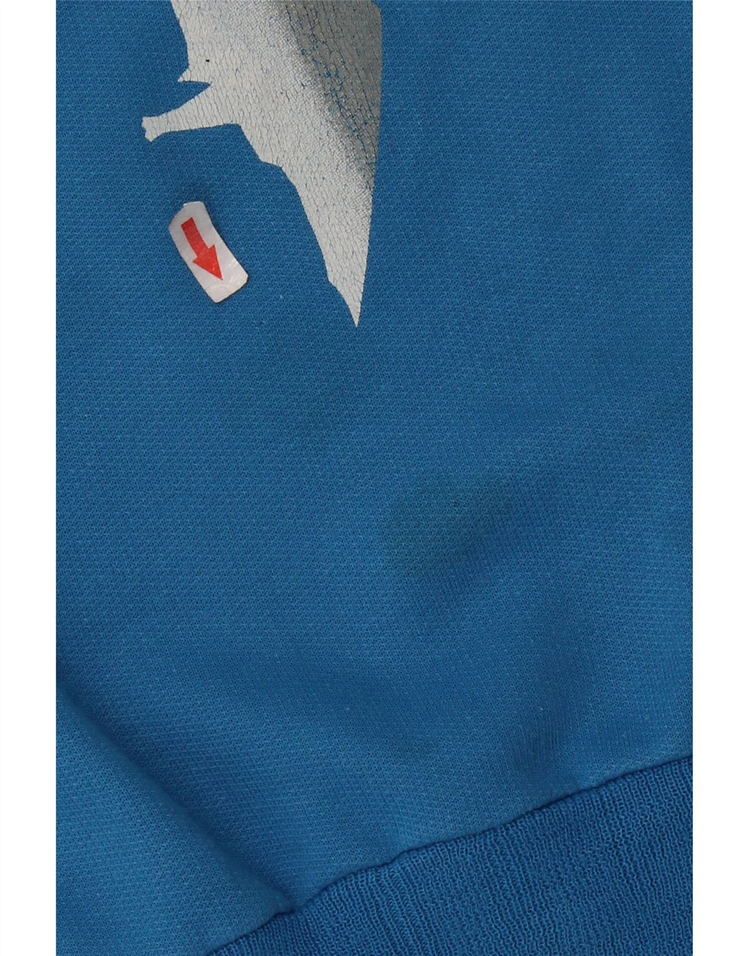 Vintage Herre Grafisk Sweatshirt Jumper Medium Blå Bomuld Retro