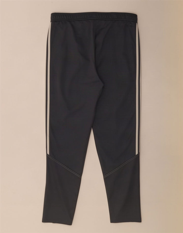 Adidas Træningsdragtsbukser til mænd XL Grå polyester