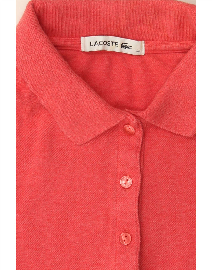 LACOSTE Womens Polo Shirt Size 36 Small Red Vintage Lacoste and Second-Hand Lacoste from Messina Hembry 