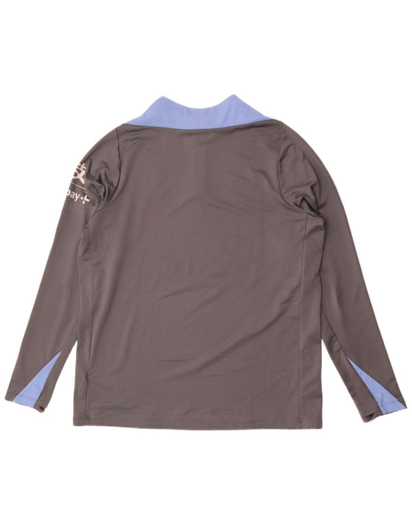 Nike Herre Tottenham Hotspur Grafisk Pullover Træningsdragt Top XL Grå