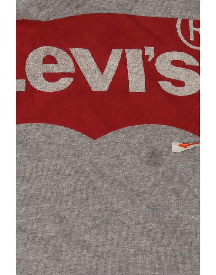 Levi's Grafisk hættetrøje til mænd mellemgrå flækket bomuld