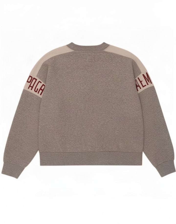 American Eagle Herre grafisk sweatshirt Jumper Medium Grey Colourblock