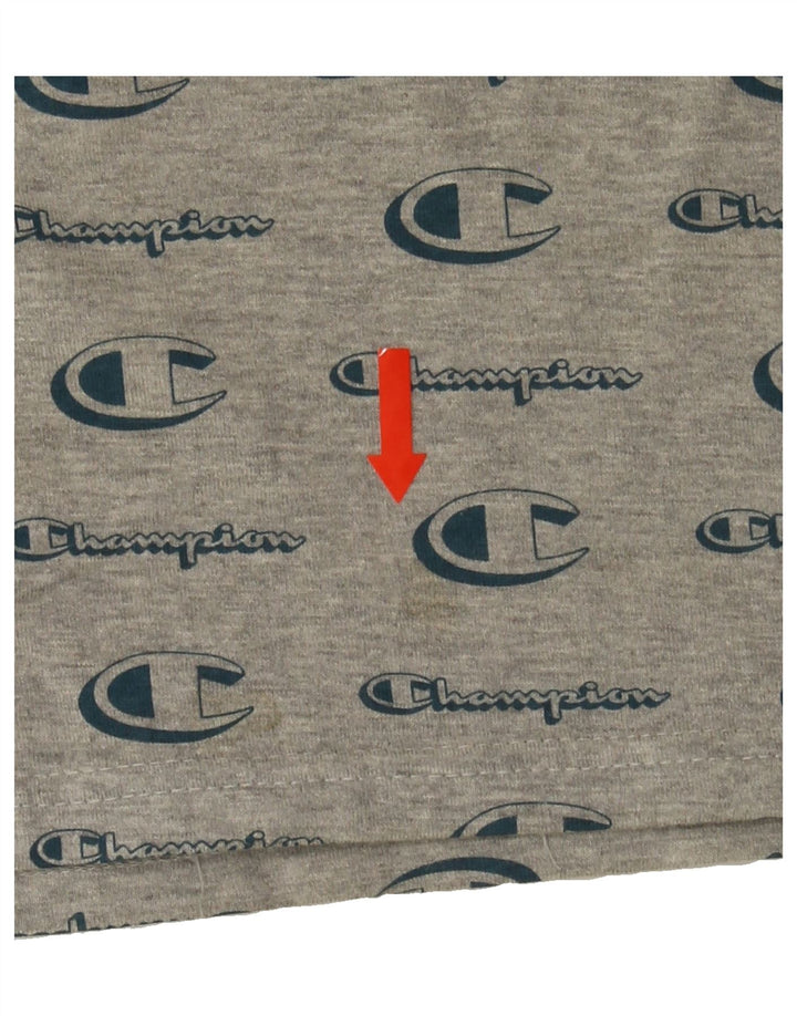 CHAMPION Mens Graphic T-Shirt Top Small Grey Cotton Vintage Champion and Second-Hand Champion from Messina Hembry 