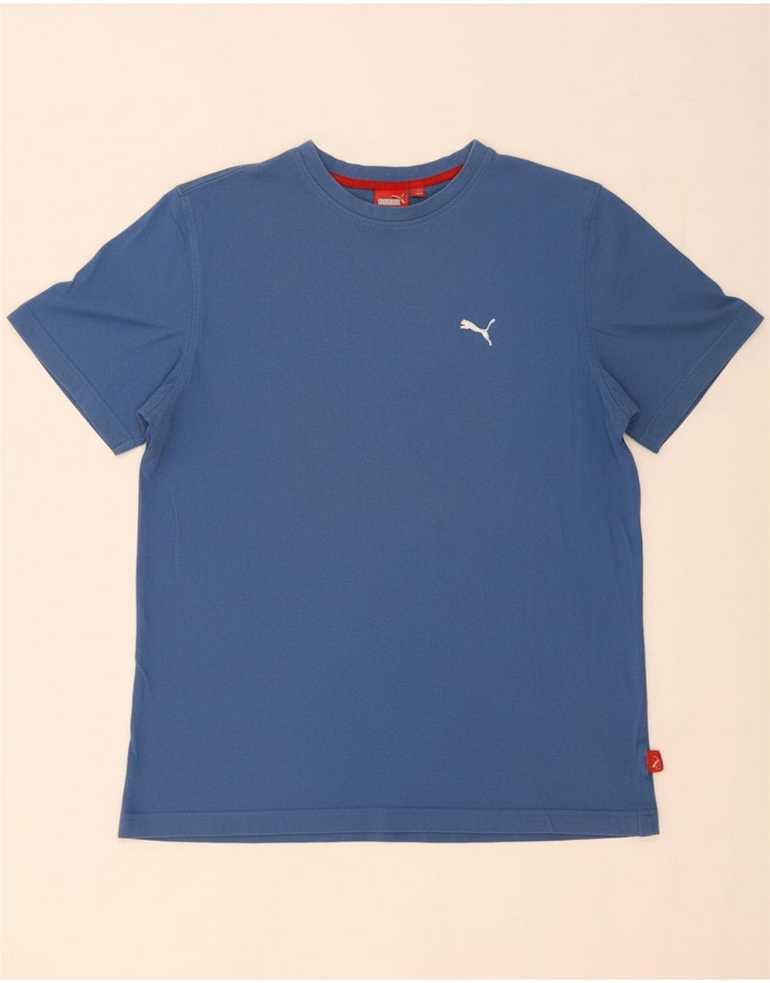 PUMA Mens T-Shirt Top Large Blue