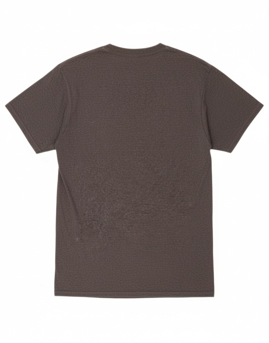 CHAMPION Mens T-Shirt Top Large Grey