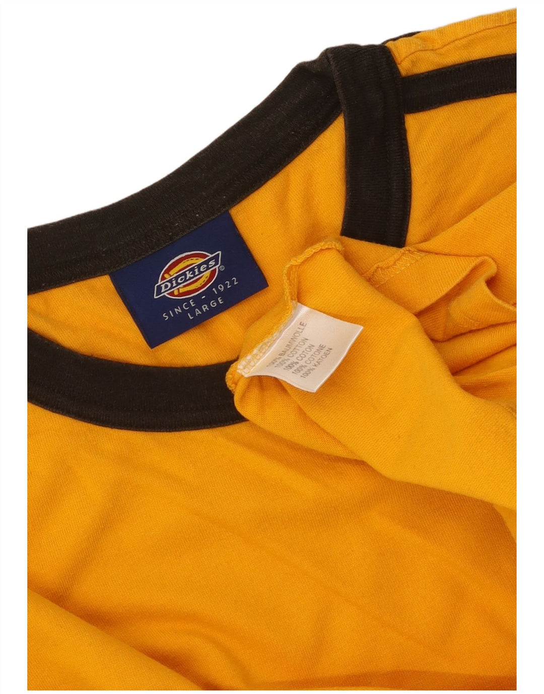 DICKIES Herre Grafisk Top Langærmet Stor Orange Colourblock Bomuld