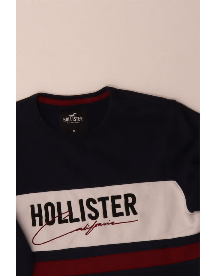 Hollister Herre grafisk sweatshirt Jumper Medium Marineblå Colourblock