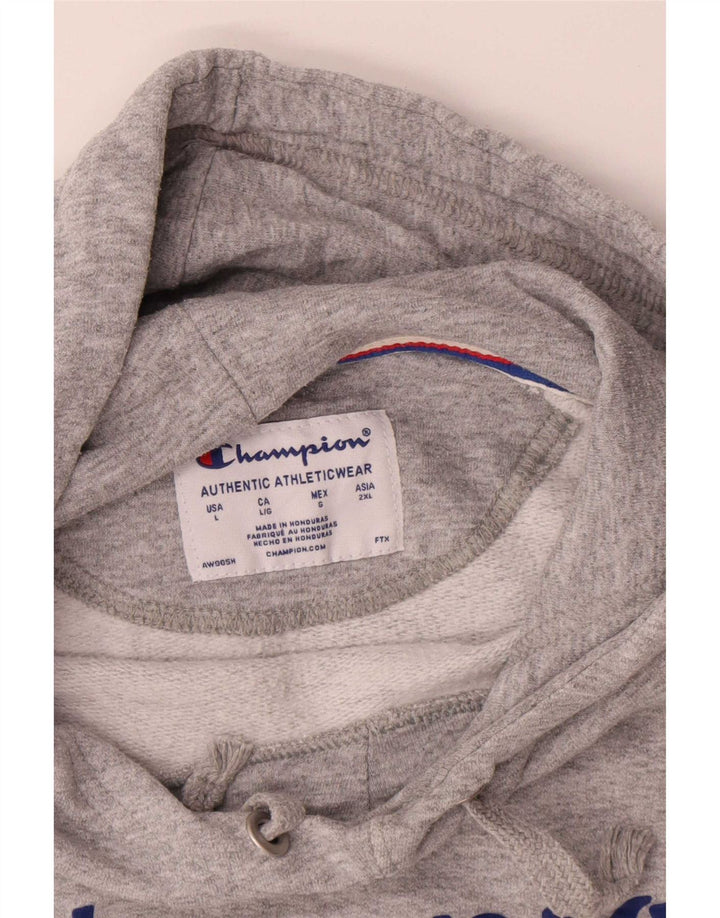 Champion Herre grafisk hættetrøje Jumper Large Grå Flecked