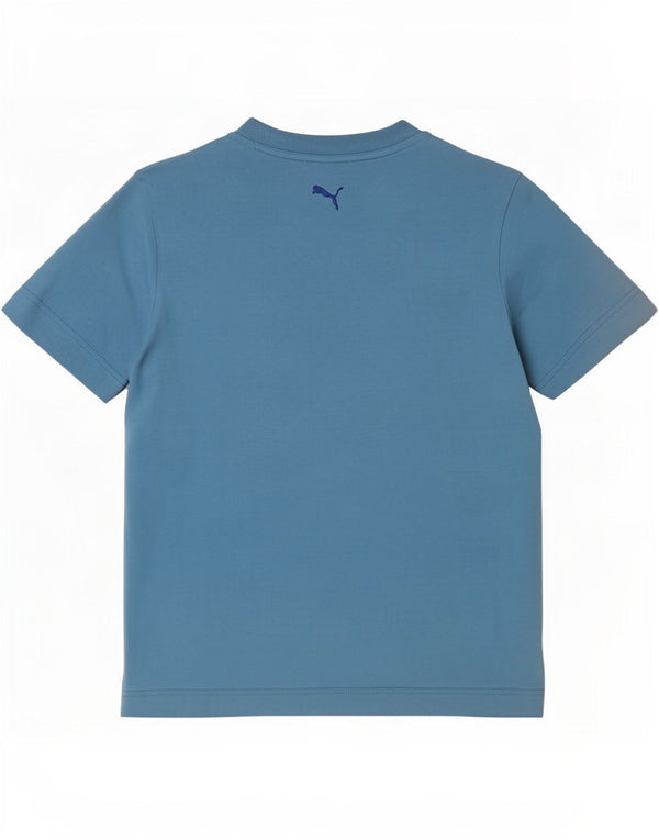 Puma Herre grafisk T-shirt Top Small Blue
