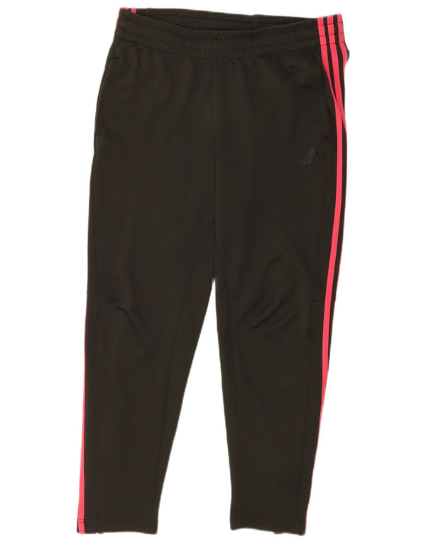 Adidas Træningsdragtsbukser til kvinder UK 16/18 Large Black Polyester
