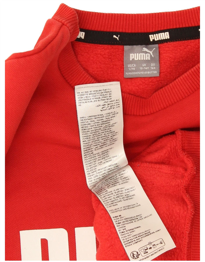 Puma Boys Grafisk Sweatshirt Jumper 13-14 år Rød Bomuld