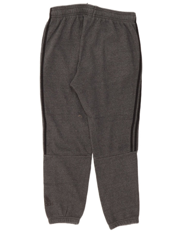 Adidas Træningsdragt til mænd Joggers XL Grå Bomuld