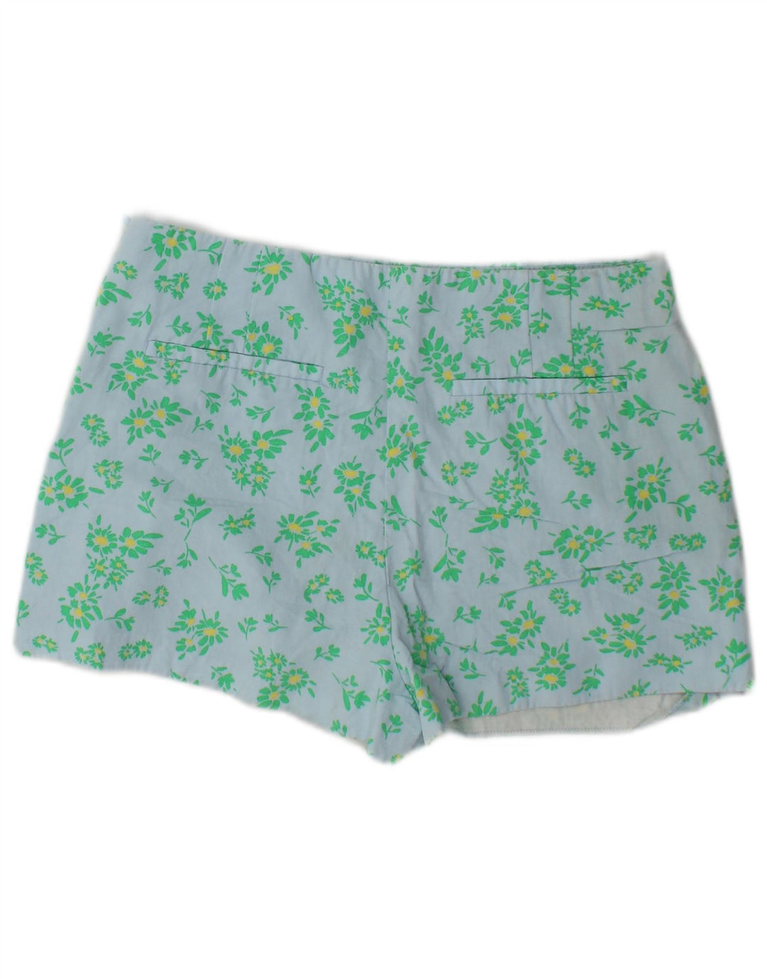 Zara Womens Hot Pants Large W30 Blue Floral Viscose