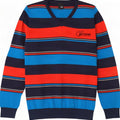 Jack & Jones Herre V-hals sweater Medium Multifarvet Stribet Bomuld