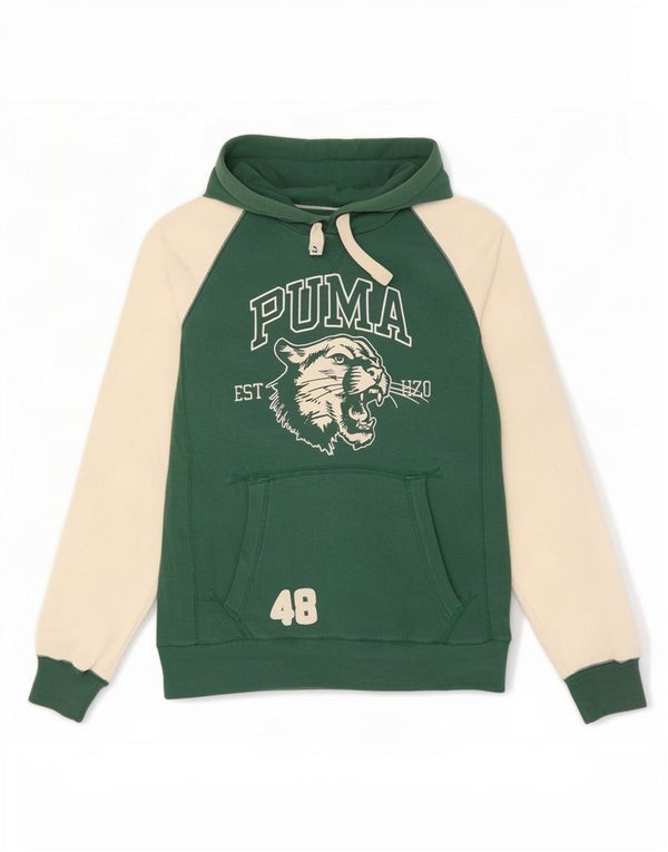 Puma Herre grafisk hættetrøje Jumper Medium Grøn Colourblock Bomuld