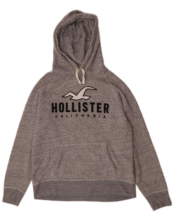 Hollister Herre grafisk hættetrøje Jumper Medium Grey Flecked Bomuld