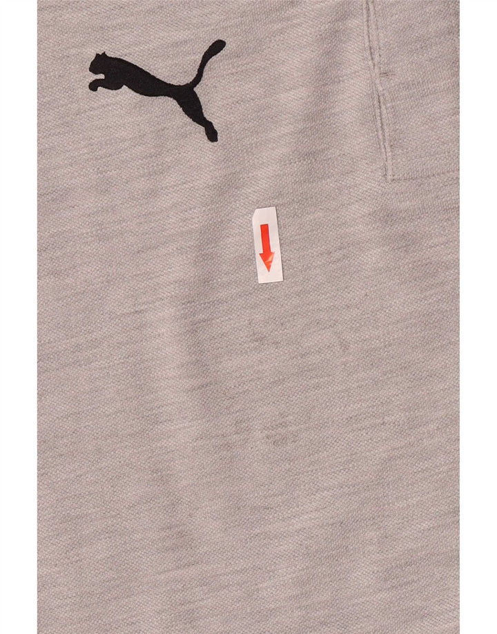 Puma Herre grafisk T-shirt Top Mellemgrå Colourblock Bomuld