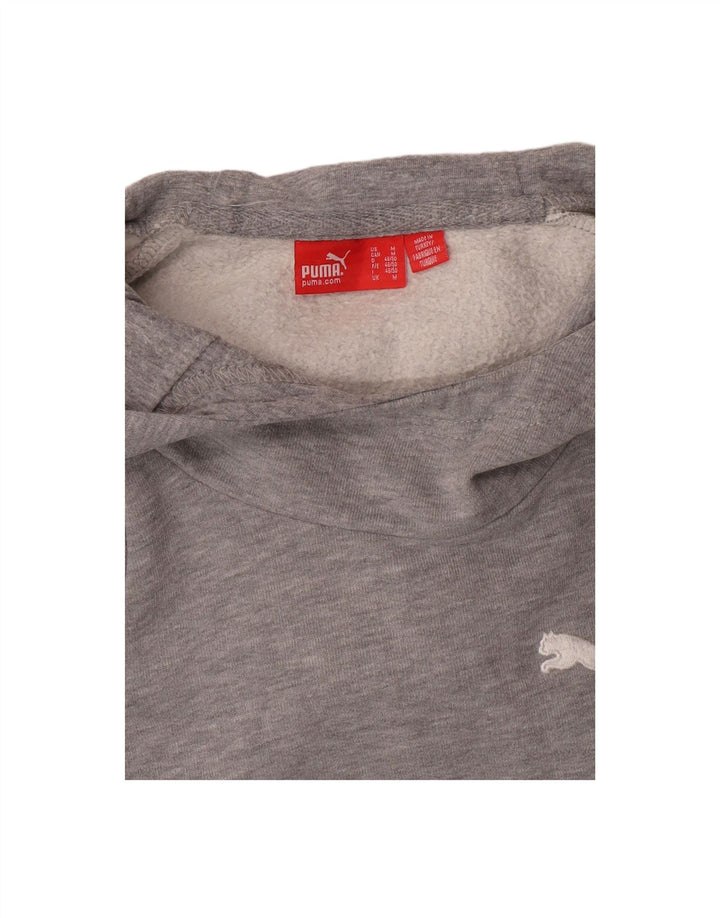 PUMA Mens Hoodie Jumper Medium Grey Colourblock