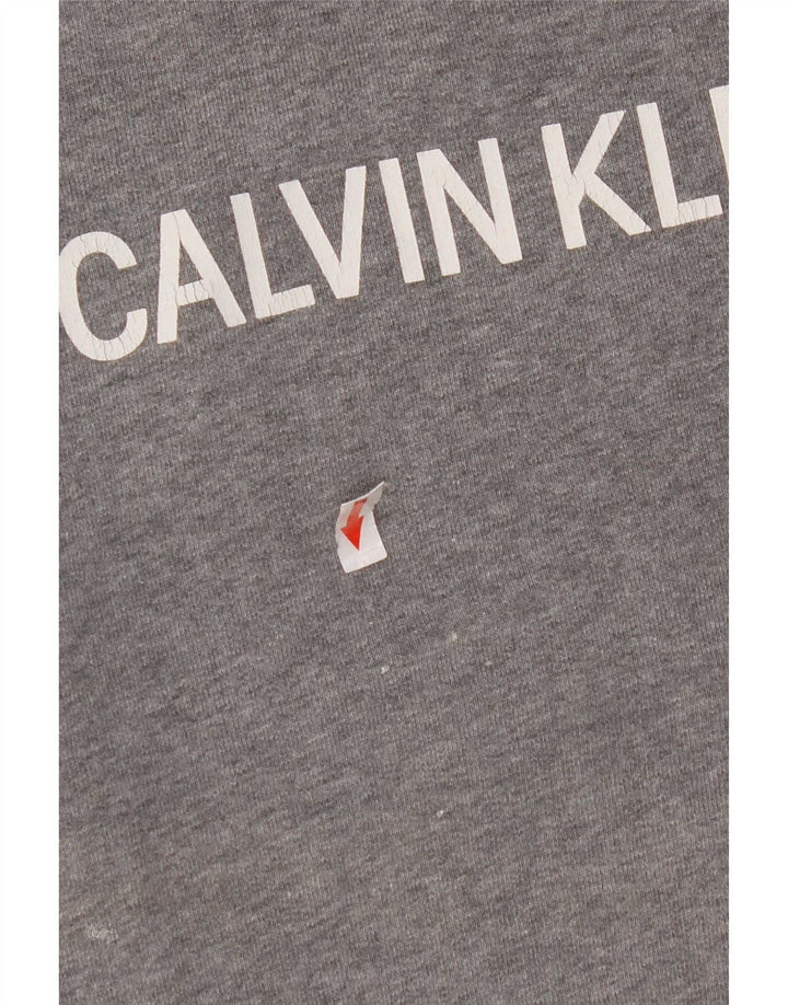 Calvin Klein Jeans Herre Grafisk Sweatshirt Jumper Lille Grå Bomuld
