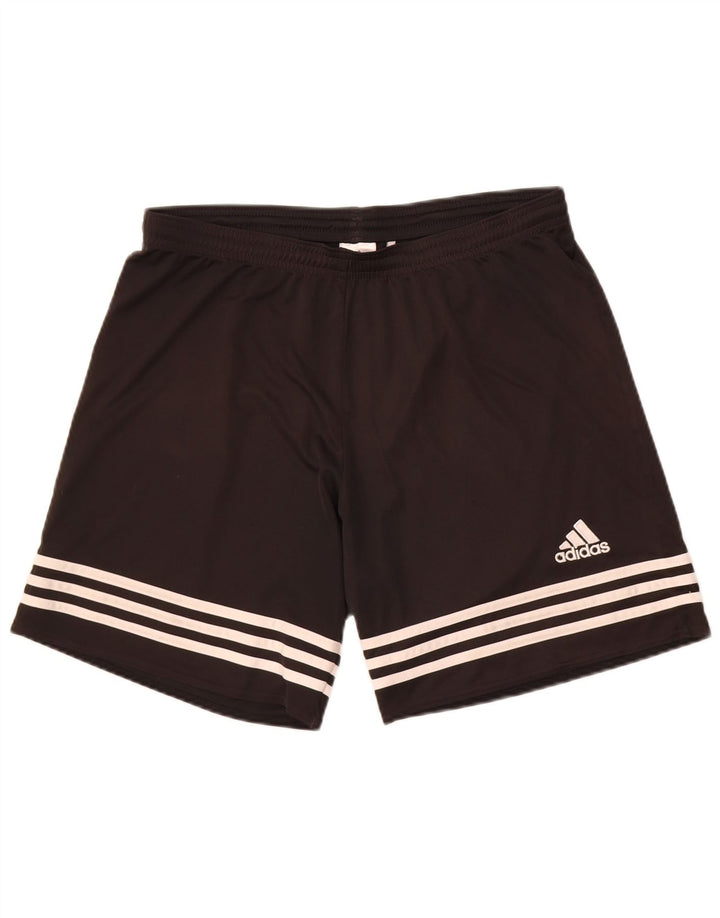 Adidas Herre Climalite Sportshorts Stor sort polyester