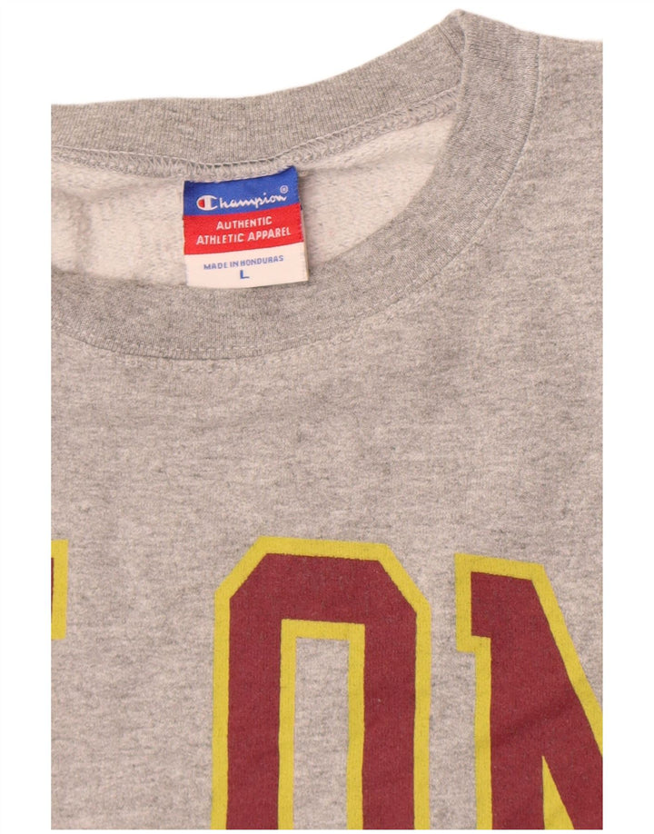 Champion Herre Grafisk Sweatshirt Jumper Large Grå Flecked Bomuld