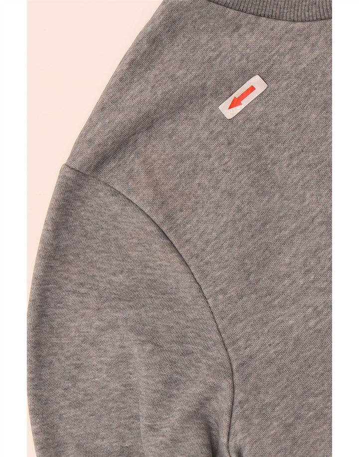 Puma Herre Grafisk Sweatshirt Jumper Medium Grå Bomuld