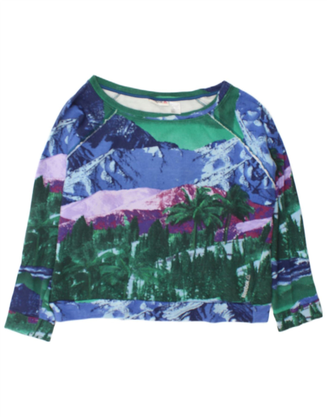 Reebok Dame Grafisk Sweatshirt Jumper UK 16/18 Stor Flerfarvet