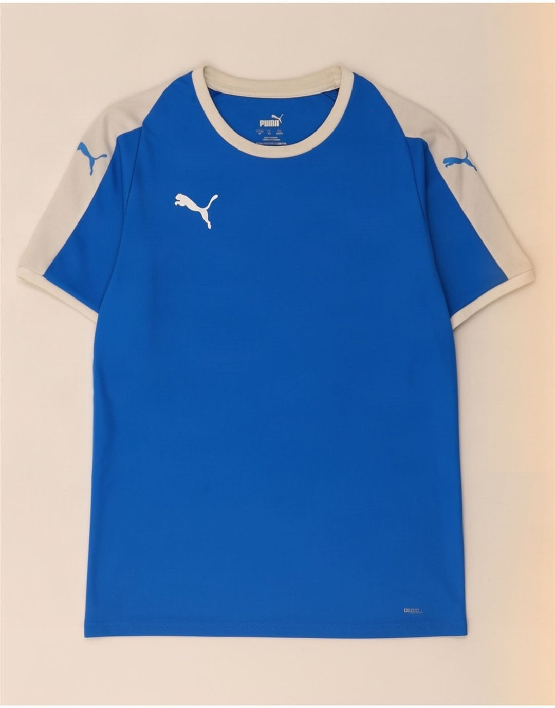 Puma Herre T-Shirt Top Medium Blue Colourblock Polyester