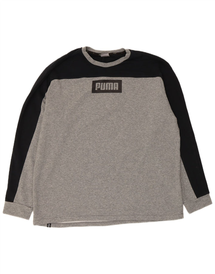 Puma Herre Grafisk Sweatshirt Jumper XL Grå Colourblock Bomuld